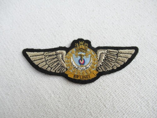 Brunei luftwaffe pilot - luftwaffe,